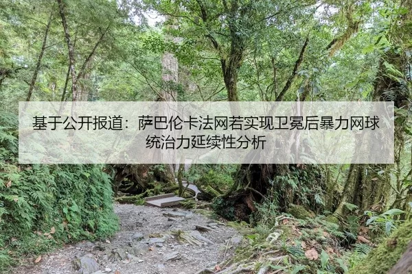 ji-yu-gong-kai-bao-dao-sa-ba-lun-ka-fa-wang-ruo-shi-xian-wei-mian-hou-bao-li-wang-qiu-tong-zhi-li-yan-xu-xing-fen-xi-2-474.jpg