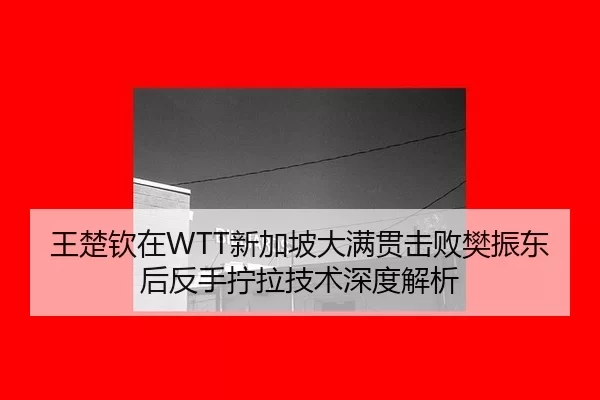wang-chu-qin-zai-xin-jia-po-da-man-guan-ji-bai-fan-zhen-dong-hou-fan-shou-ning-la-ji-shu-shen-du-jie-xi-1-601.jpg