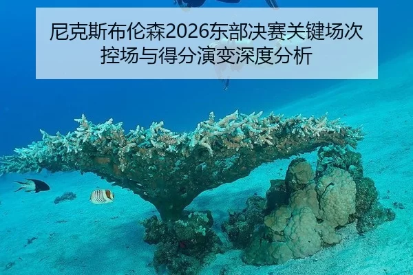 ni-ke-si-bu-lun-sen-dong-bu-jue-sai-guan-jian-chang-ci-kong-chang-yu-de-fen-yan-bian-shen-du-fen-xi-1-612.jpg