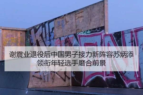 谢震业退役后中国男子接力新阵容苏炳添领衔年轻选手磨合前景